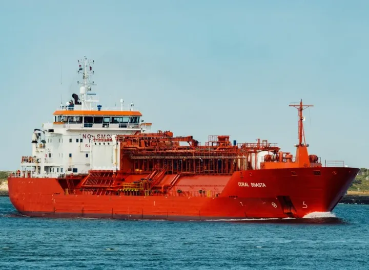 Photo of CORAL SHASTA