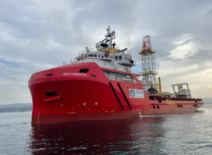 Photo of ZHONG XIN YOU 17