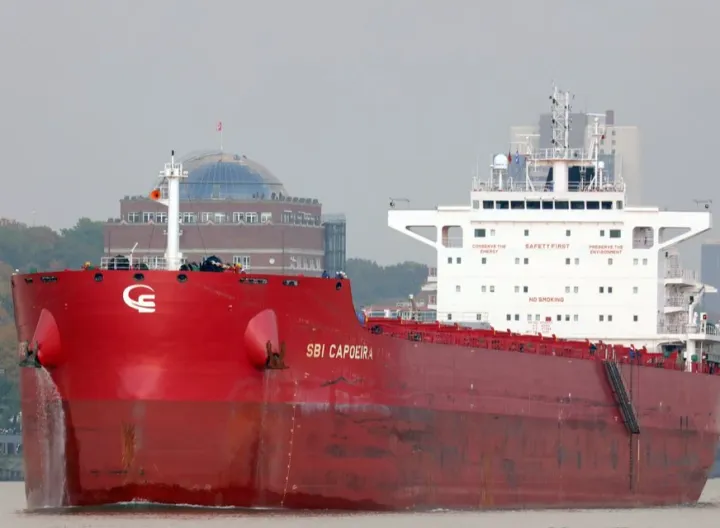 Photo of STAR CAPOEIRA