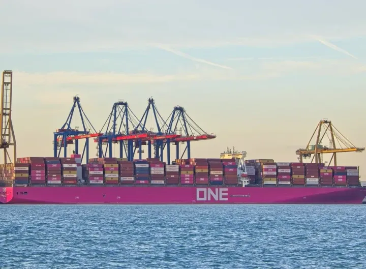 Photo of ONE CRANE