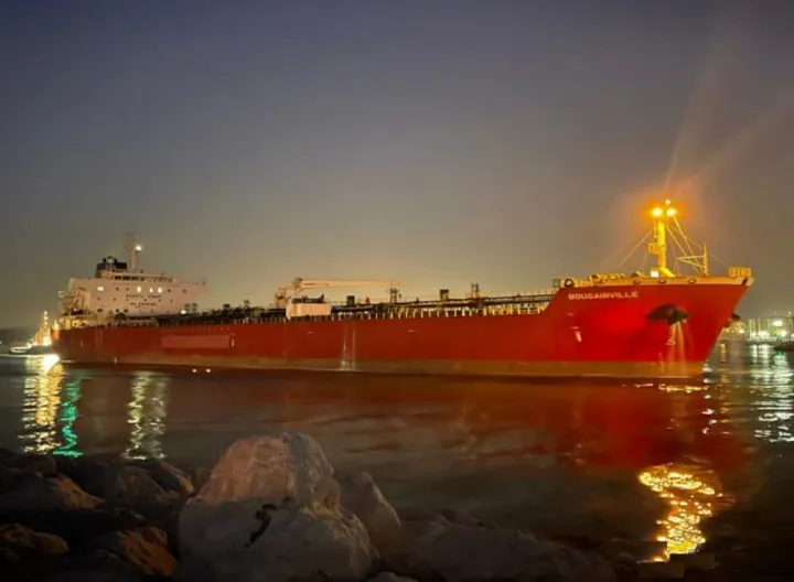 Photo of BOUGAINVILLE