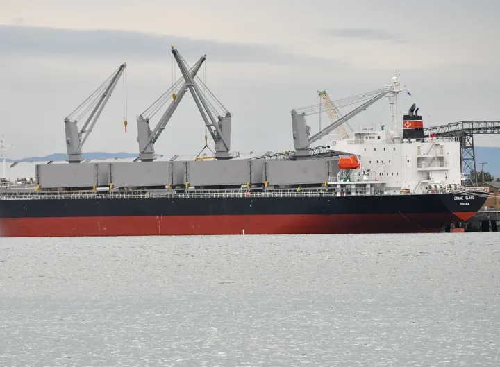 Photo of MICHELANGELO