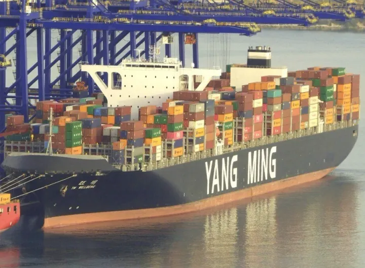 Photo of YM WELLBEING