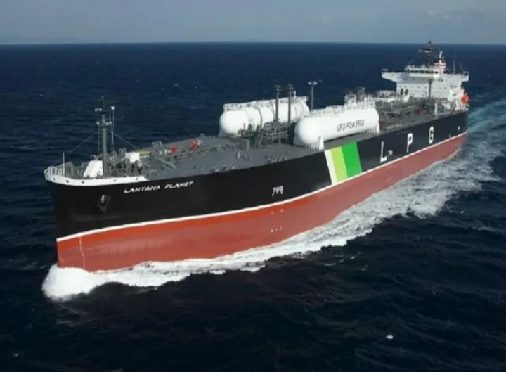 Photo of LANTANA PLANET