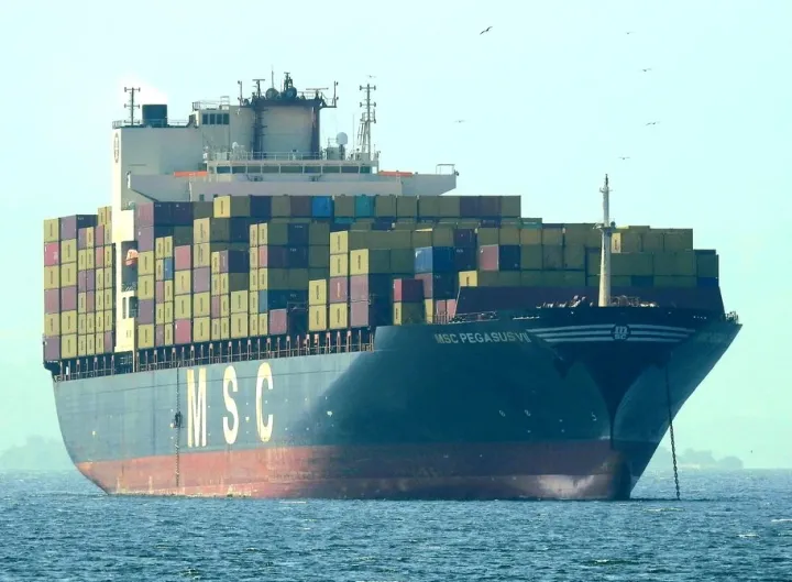 Photo of MSC PEGASUS VII