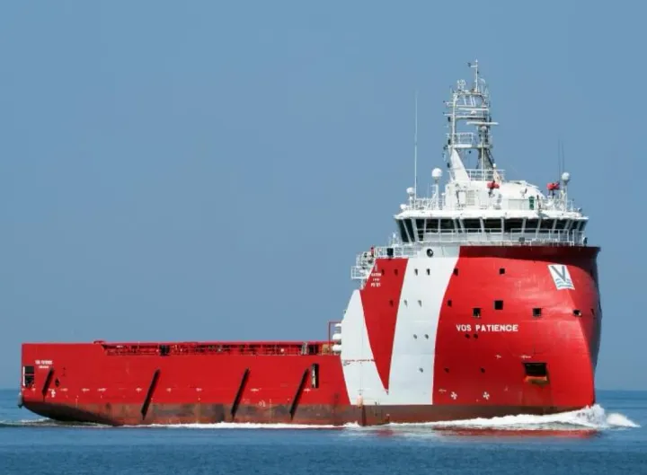 Photo of BOS PATIENCE