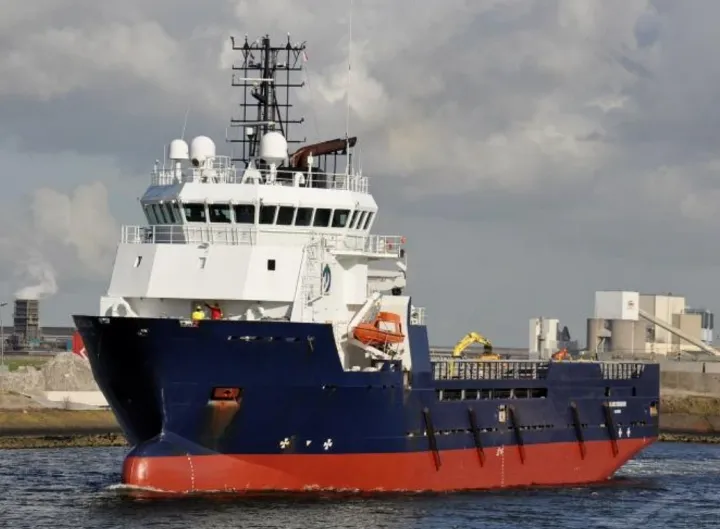 Photo of DINA SUPPORTER