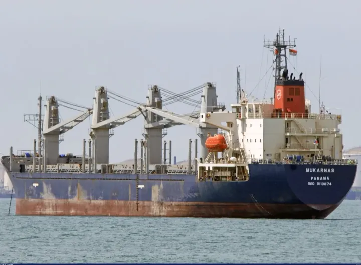 Photo of MOMENTUM PHONIX