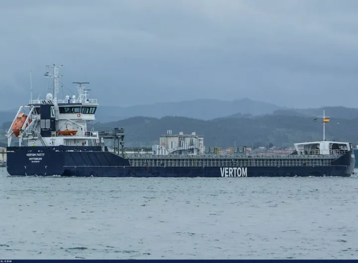 Photo of VERTOM PATTY