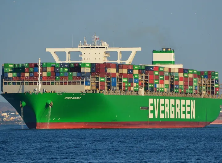 Photo of EVER GOODS