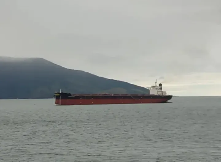 Photo of GOLDEN SPRAY