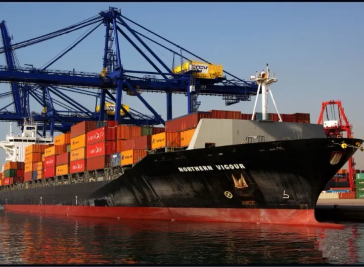 Photo of MSC VIGOUR III