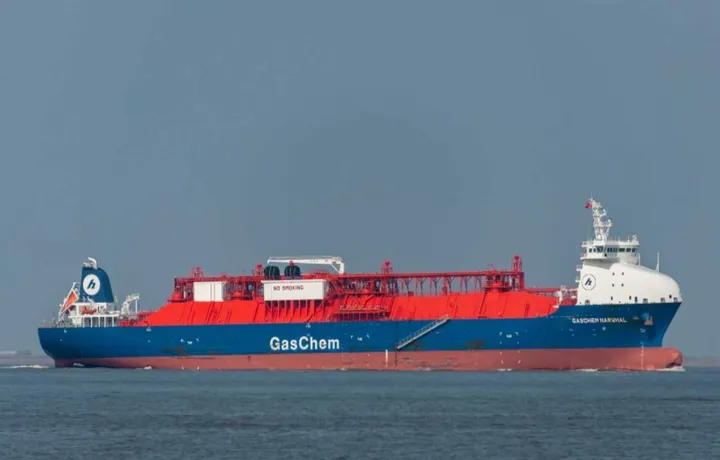 Photo of GASCHEM NARWHAL