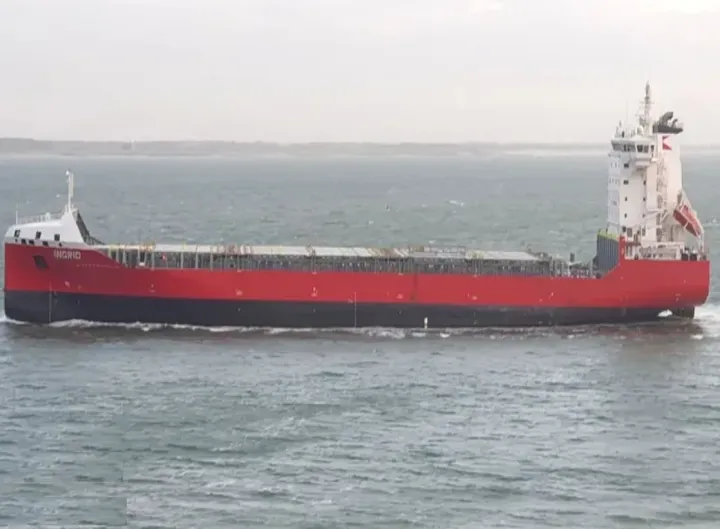 Photo of JOANNA BORCHARD