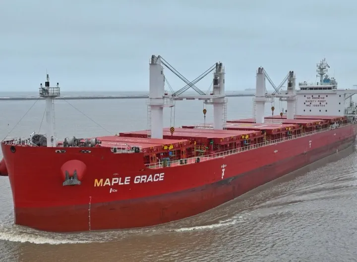 Photo of MAPLE GRACE