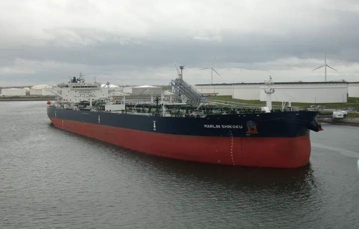 Photo of MARLIN SHIKOKU