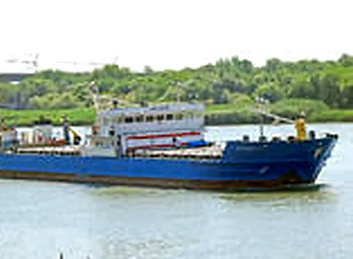 Photo of BELO GOA