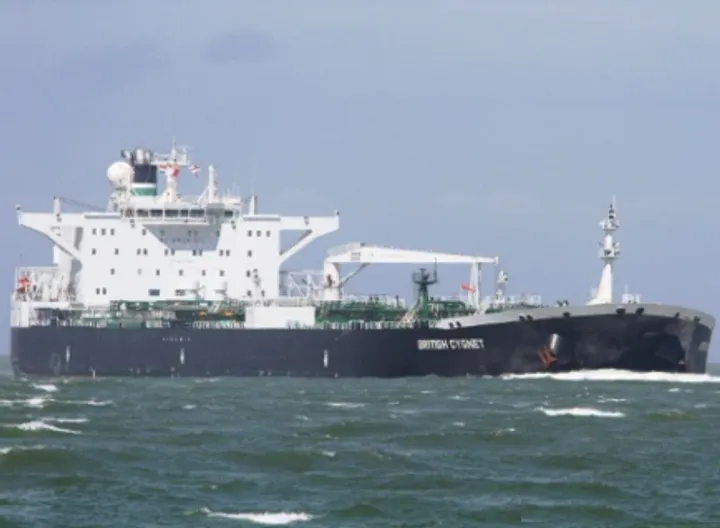 Photo of URSUS MARITIMUS