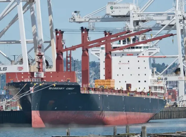 Photo of MORESBY CHIEF