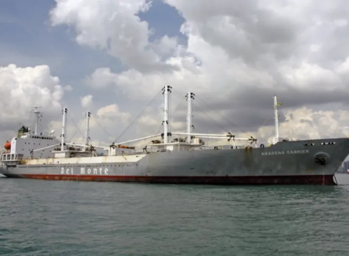 Photo of GREENSEA ARACENA