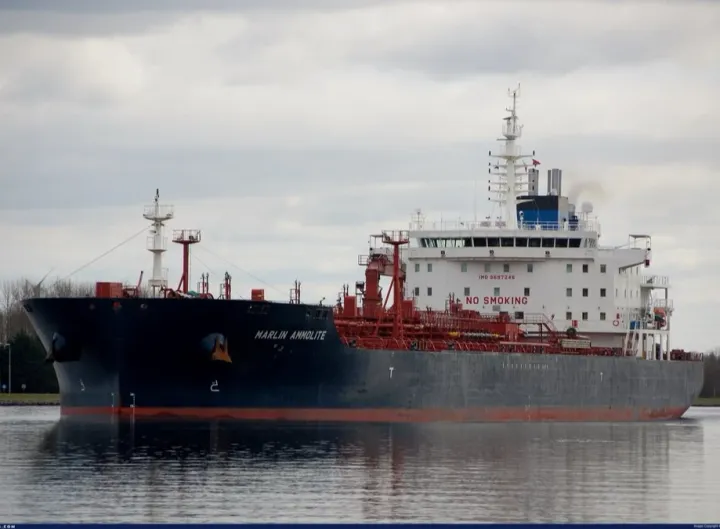 Photo of MARLIN AMMOLITE