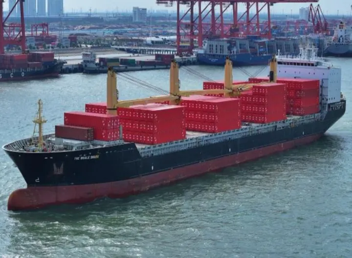 Photo of THE WHALE SHARK