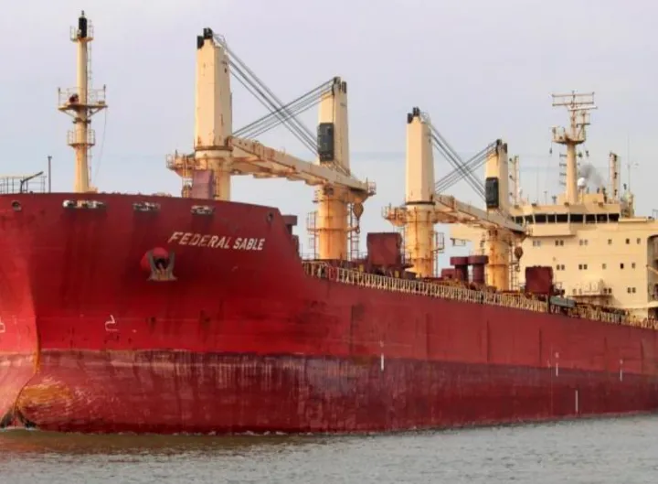Photo of FEDERAL SABLE