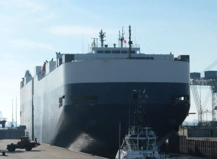 Photo of VIRGO LEADER