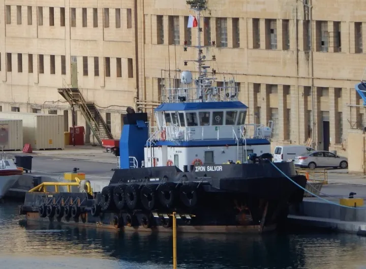 Photo of BAS MUSTANG