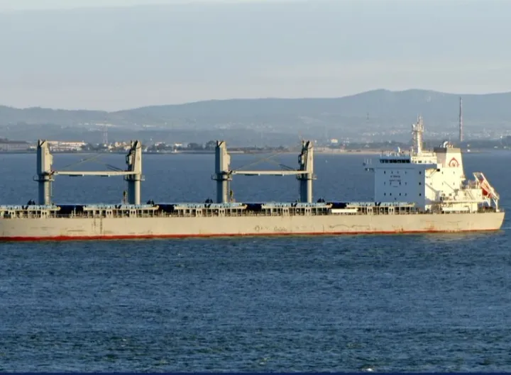 Photo of APOLLON TRADER
