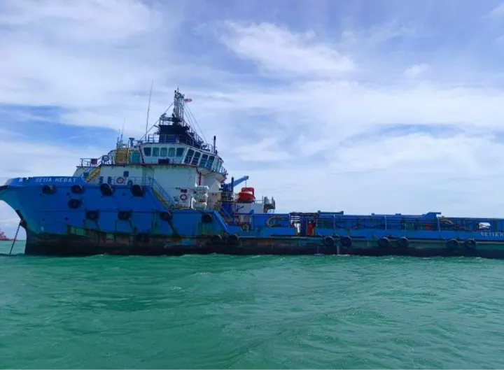 Photo of ALBATROSS 10