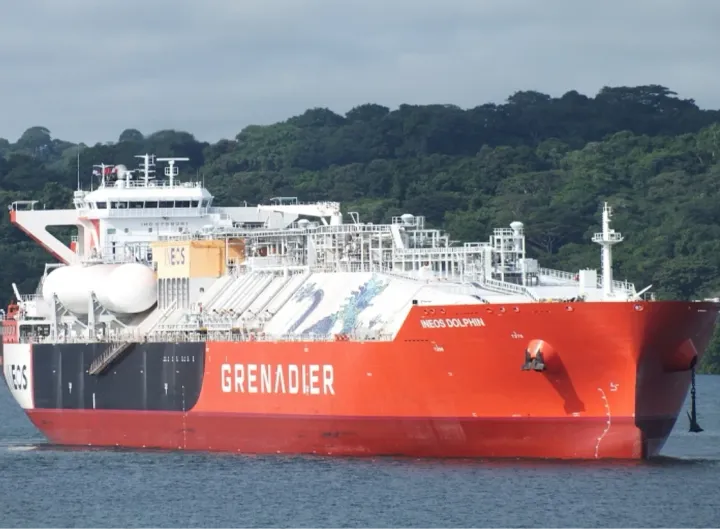 Photo of INEOS DOLPHIN