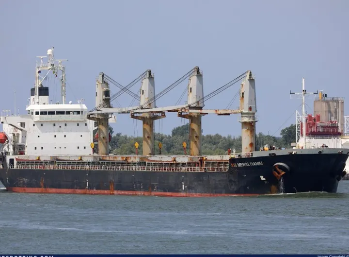 Photo of SSI MERAL HANIM