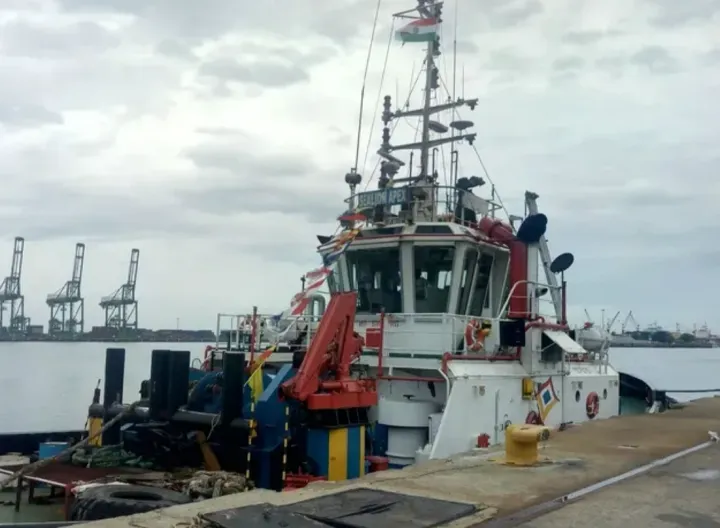 Photo of SEALION APEX