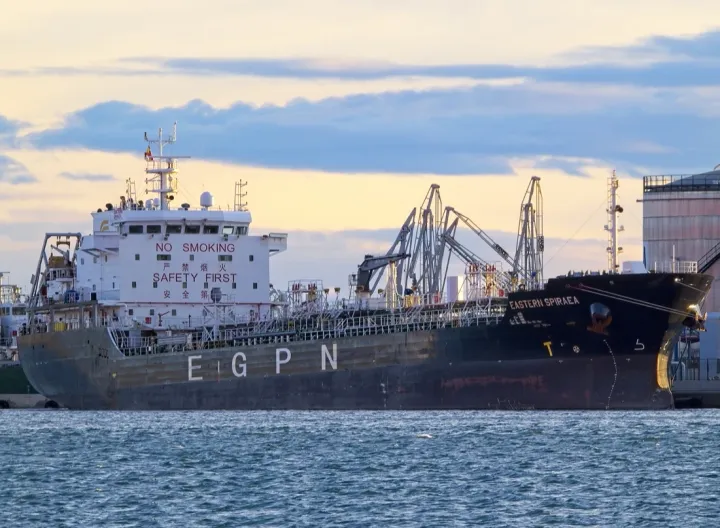 Photo of EASTERN SPIRAEA