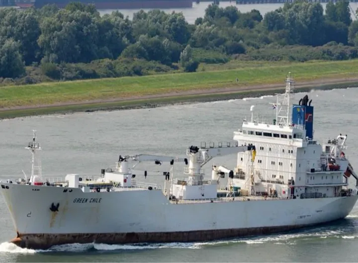 Photo of GREEN CHILE