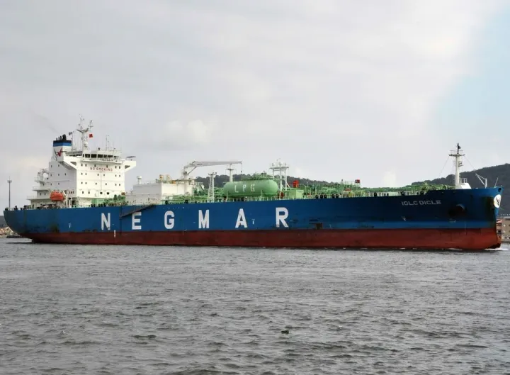 Photo of MANTA DICLE