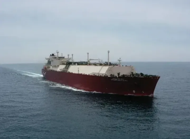 Photo of WOODSIDE SCARLET IBIS