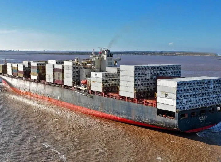 Photo of MSC ALMA VII