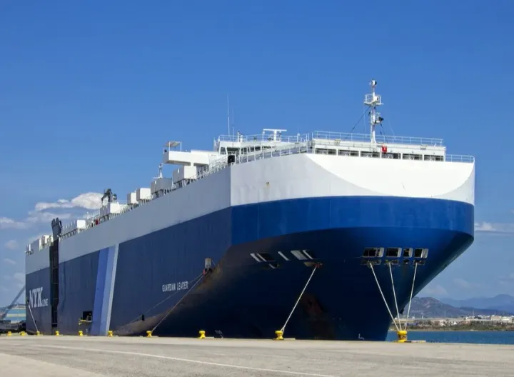 Photo of GUARDIAN LEADER