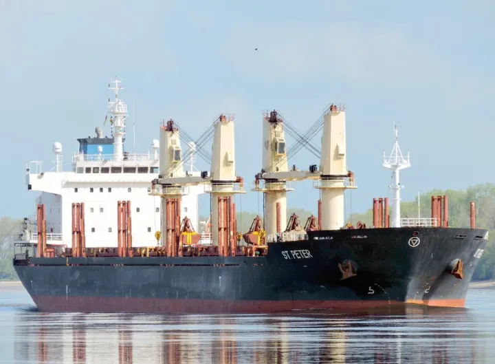 Photo of KALI KARDIA