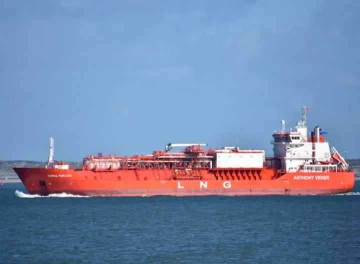 Photo of CORAL FURCATA