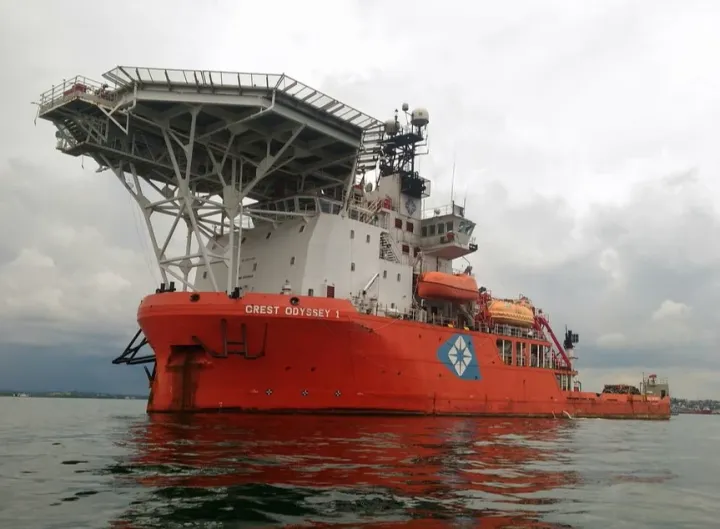 Photo of SOUTHERN NOVA