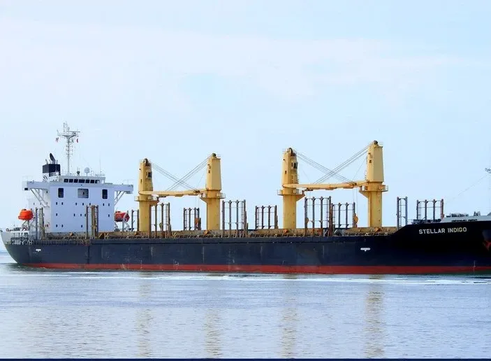 Photo of STELLAR INDIGO