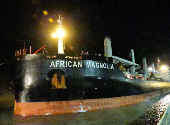 Photo of AFRICAN MAGNOLIA