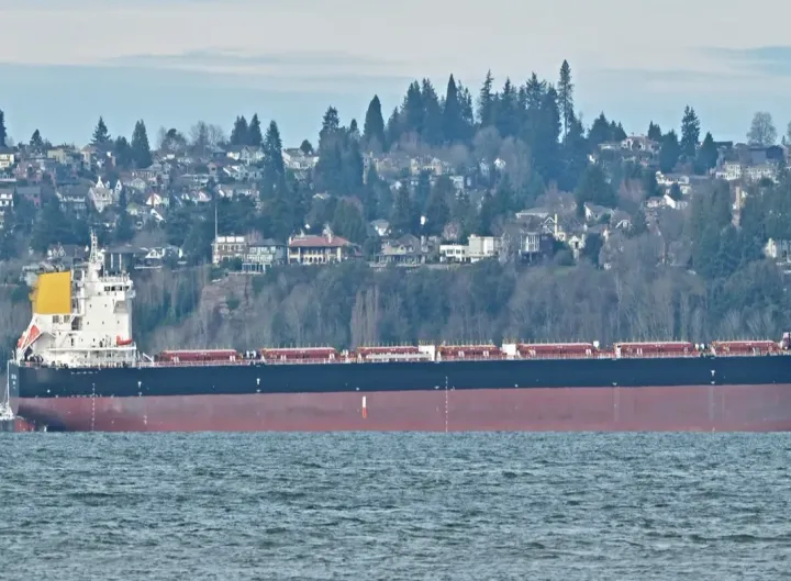 Photo of BASIC PEACE